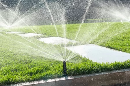 huge lawn is being watered by sprinkler irrigation system